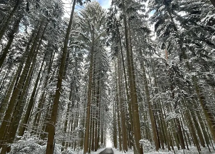 Schwarzwald - Modern Mit Terrasse